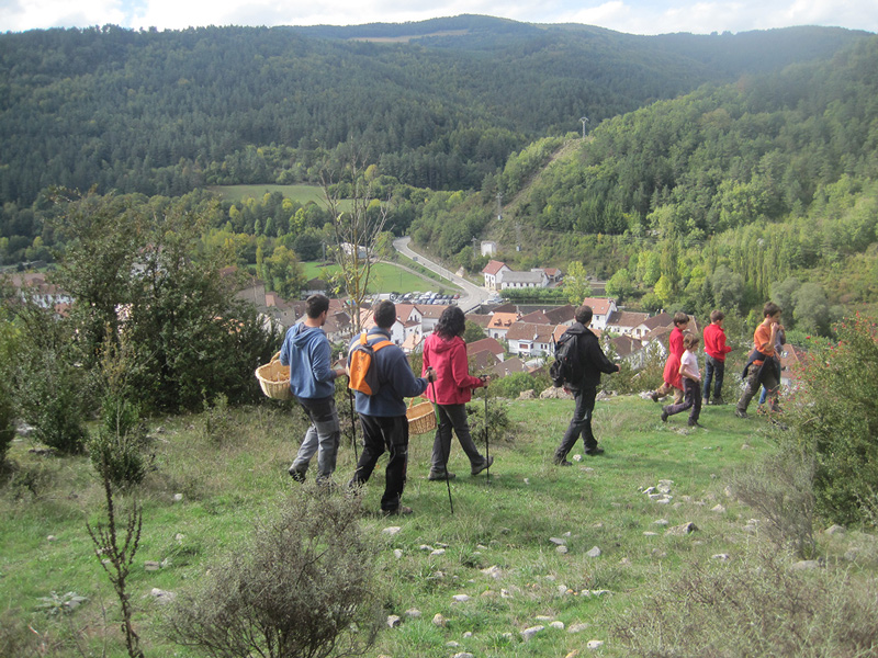 Ezkaroze. recogiendo setas